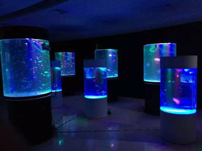 服務(wù)好的景觀海洋生物展租賃公司推薦 寶山城市工業(yè)園區(qū)海洋展出租