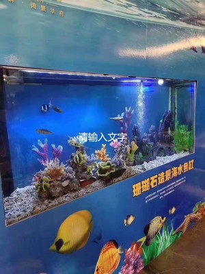 公 主嶺馬戲團(tuán)表演出租有沒(méi)有