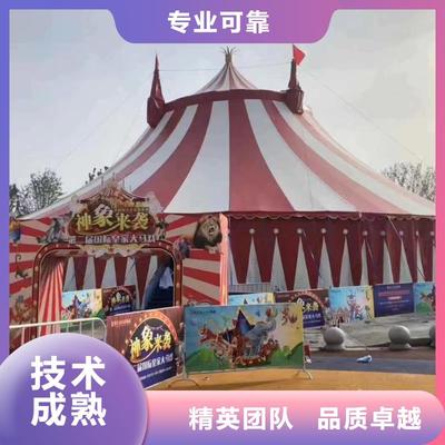 馬戲團(tuán)/羊駝,出租動物表演靠譜商家